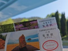 -棒棰岛宾馆景区