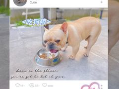 -哆趣宠物医院·眼科·内镜·急重症转诊中心(上海店)