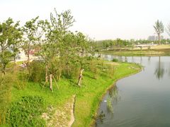 景点-新江湾城公园