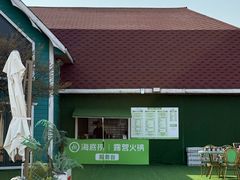 -荷兰花海