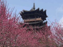 -杭州半山国家森林公园