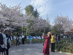 -堤角公园
