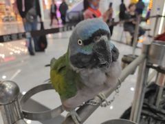 -欧亚汇集(飞跃路店)