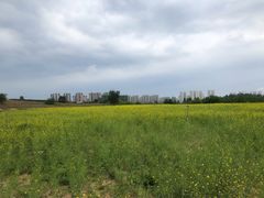 -西海岸生态观光园