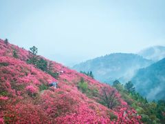 -木兰云雾山