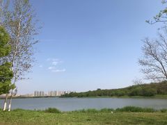 -盘龙城国家考古遗址公园