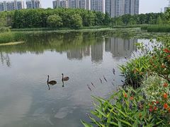 -昆山城市生态森林公园