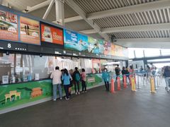 -昂坪360缆车