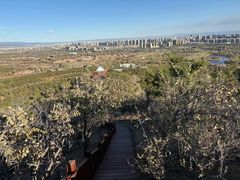 -乌素图国家森林公园