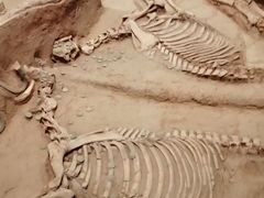 -洛阳周王城天子驾六博物馆