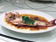 -海逸海鲜酒家(古北店)