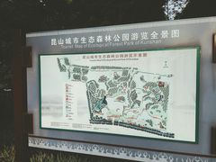 -昆山城市生态森林公园