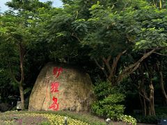 -野狸岛