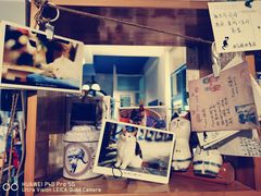 -Anne猫窝咖啡屋