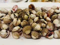 血蛤-华盛丰温州大排档(东三环南路店)