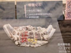 -温州博物馆