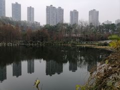 -重庆彩云湖湿地公园