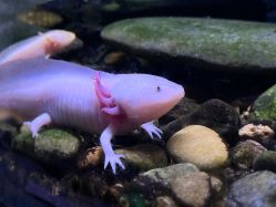 -Zoolung Zoolung动物主题公园(海信广场店)