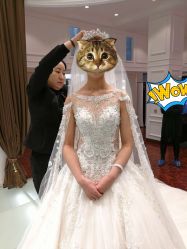 -VV新娘婚纱礼服体验馆