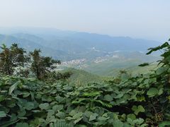 -莫干山风景区