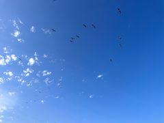 -星海广场