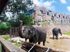 -南京汤山紫清湖生态旅游温泉度假区