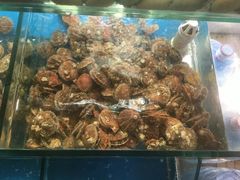 -雅逸居海鲜小厨