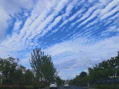 -蛙喔牛蛙(仙林万达茂店)