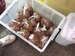 -正宗忘不了老鹅(梅岭店)