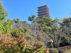 -牛首山文化旅游区
