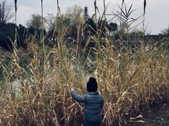 -尚贤河湿地