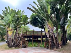 -深圳国际园林花卉博览园