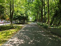 -东钱湖旅游度假区