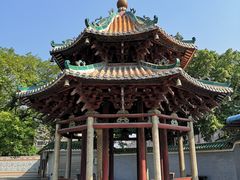 -悦城龙母祖庙