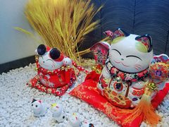 -京炭铜锅涮肉·羊蝎子·羊肉炉(保利·时光里店)