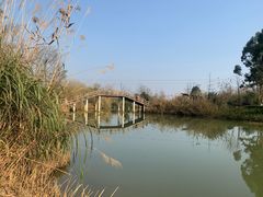 -白鹭湾湿地公园