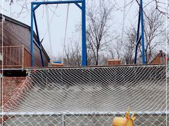 -北京鹿世界主题园