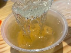 -海丝金凤(金鱼店)