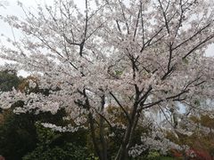-石湖景区