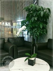 -悦Salon发型设计