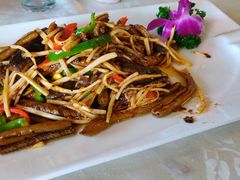 -丁老爷子苏香圆