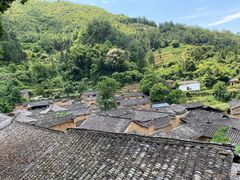 -杨家堂村