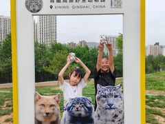 -青藏高原野生动物园