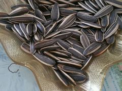 -宜城私房菜.臭鳜鱼(九华新街店)