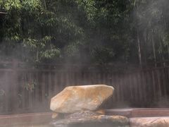 -天目湖涵田半山温泉