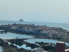 -养马岛旅游度假区