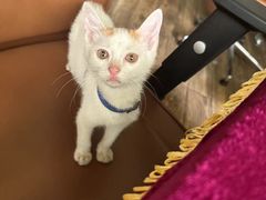 -玩坞轰趴馆·户外团建聚会主题生日派对馆(世豪广场店)