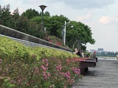 -贡湖湾湿地公园