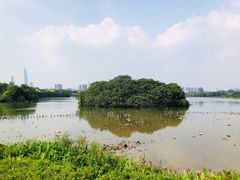 -海珠湖公园
