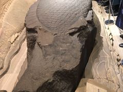 -白鹤梁水下博物馆